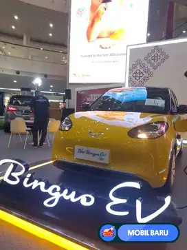 [Mobil Baru] Wuling Binguo Ev 333 Ccs2