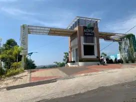 Peluang Emas Investasi Cerdas Beli Tanah Di Alivia Residence