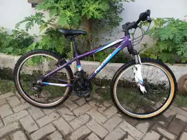 Sepeda MTB Polygon Relic