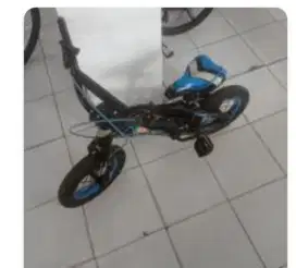 Sepeda anak usia 3 - 5 th