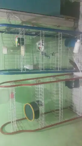 Rak ciki dan rak piring