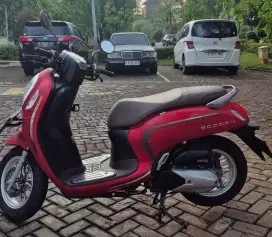 Scoopy 2023 low km