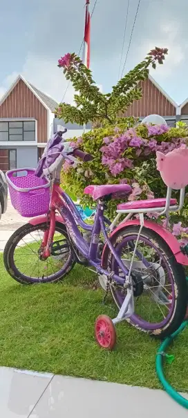 Sepeda anak uk 16 murah