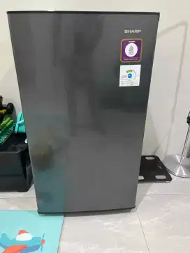 Kulkas Sharp 1 Pintu 133L SJ-X165 - Hemat Listrik, Kondisi Mulus