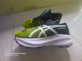 Asics metaspeed sky