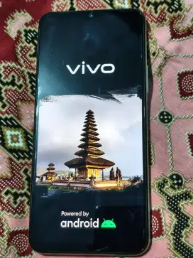 Jual mulus vivo y33t