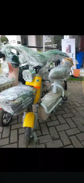 ZXT Little Martin