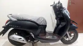 NEW HONDA SCOOPY PRESTIGE 2024 GRESS LOW KM
