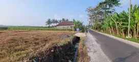 Jual tanah murah pakis sukoanyar nol jalan aspal jalur aktif