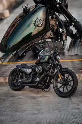 Custom Chopper Harley Iron 1200 2021