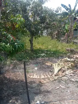 Jual Tanah Kebun Di Cikarang Bekasi Jawa Barat