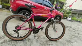 Bridgestone mudrock