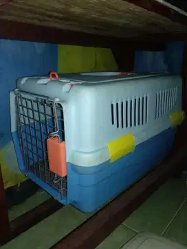 Phetcargo Kucing