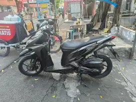 Vario 2012 halus mulus