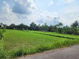 Tanah Murah Sleman, 3 Menit ke Jalan Palagan Jogja