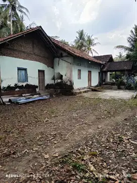 Tanah Pekarangan Bonus Rumah di Temon Kulonprogo TP 079