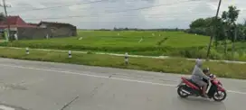 Jual tanah pekarangan, kering, pinggir jalan provinsi, strategis.