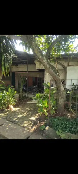 Dijual Rumah tua hitung Tanah saja di Jln  Raya Astek Lengkong BSD ser