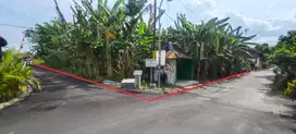 Tanah Pekarangan Bagus Murah di Prambanan Sleman TP 081