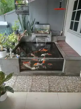 Tukang kolam dan renovasi.