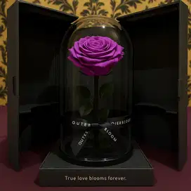 Preserved Flower Outerbloom