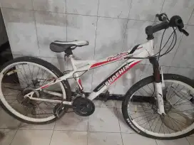 Sepeda Bekas Phoenix