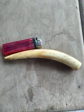 Jual pipa rokok