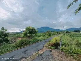 TANAH PEGUNUNGAN PACET MOJOKERTO VIEW OKE