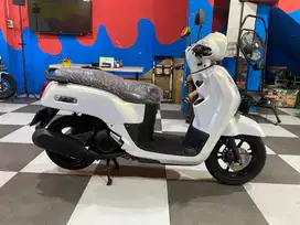 ( DP 500 ) Yamaha Fazzio Neo 2023