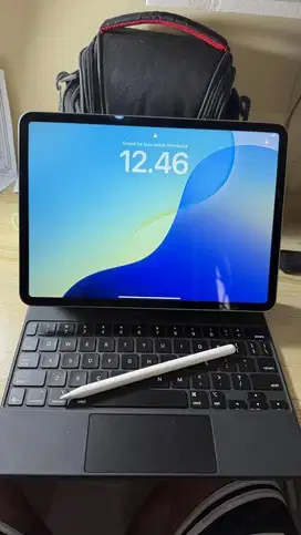 Ipad pro m2 256