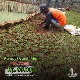Jasa Pembuatan Taman | Jasa Tanam Rumput