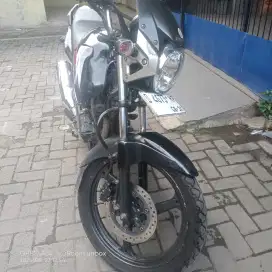 Tiger Revo 2010