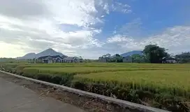 TANAH LUAS DESA JIYU KUTOREJO DEKAT PT MULTI BINTANG