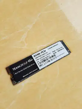 SSD Nvme 512gb gen 3 Teamgroup Garansi 04-2028