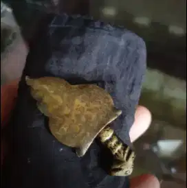 Keris antik bahan kuningan