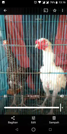 Ayam Bangkok Klasik