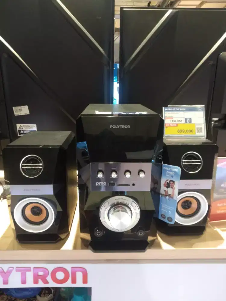 Polytron active speaker