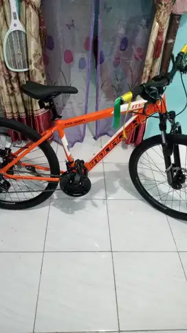 SEPEDA POLYGON MONARCH M3 BARU