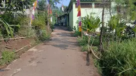 Tanah sawah Pemandangan bagus