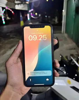 Iphone 11 inter