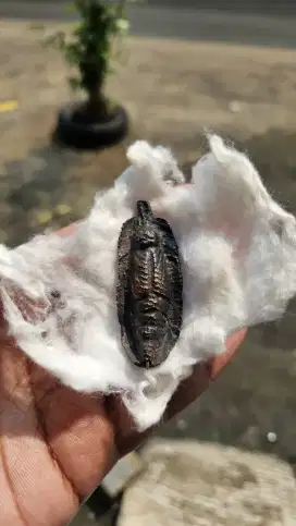 Mustika kepompong bahan kuningan
