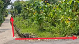 Tanah Pekarangan Luas Murah di Dlingo Bantul TP 082