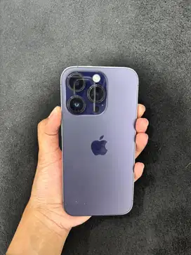 14 pro 256 beacukai