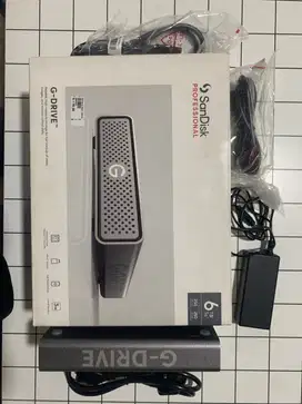Sandisk Professional Gdrive 6tb