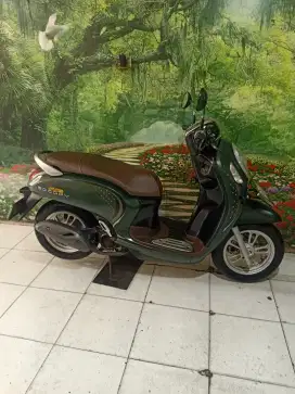 Honda Scoopy Prestige th 2023 km 6000 an
