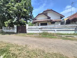 Rumah halaman Luas Banyuwangi kota