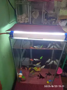 DiJual Aquarium 1 set uk T50x30x30 tebal kaca 1/2 cm