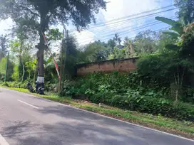 Tanah jalan utama Licin Banyuwangi