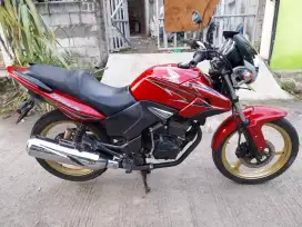 Tiger revo 2011
