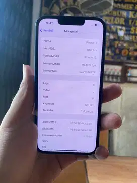 iPhone 13 inter all provider